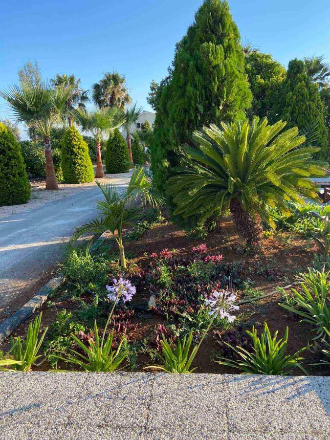 Cocoon Luxury Villa In Coral Bay-3 Min To Beach Pegeia Exterior foto